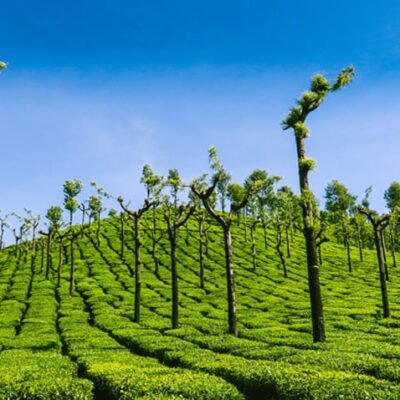 Valparai 1 Night 2 Days Tour