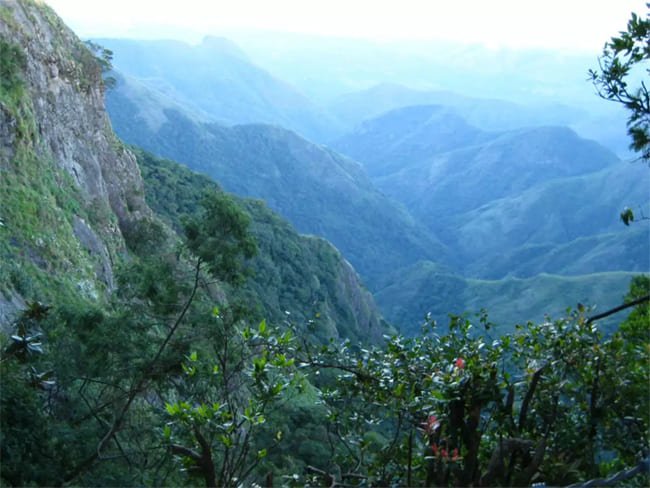 Kodaikanal Forest Tour Package
