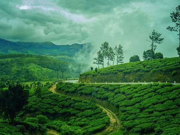 Kanthalloor Adventure Tour Package – 1 Night / 2 Days