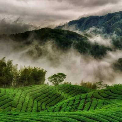 Ooty Holiday Tour Package – 1 Night1 / 2 Days