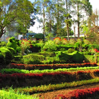 Kodaikanal Park Tour Package