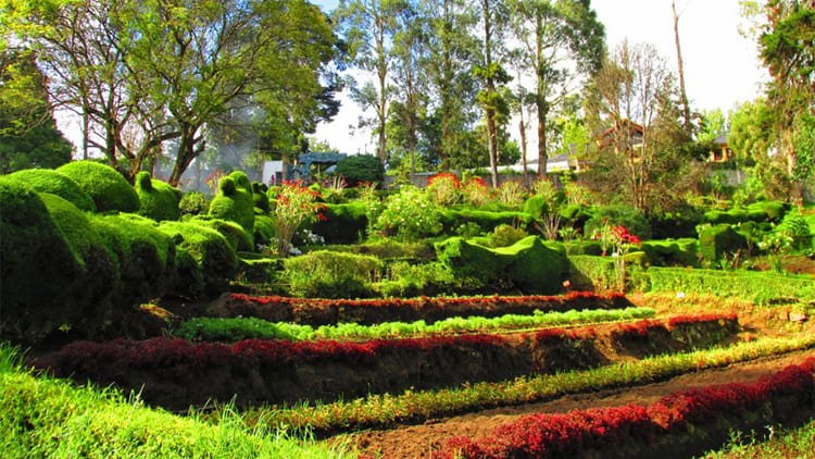 Kodaikanal Park Tour Package