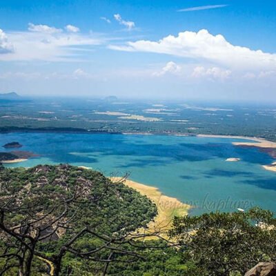 Valparai Jungle Stay 1 Night 2 Days