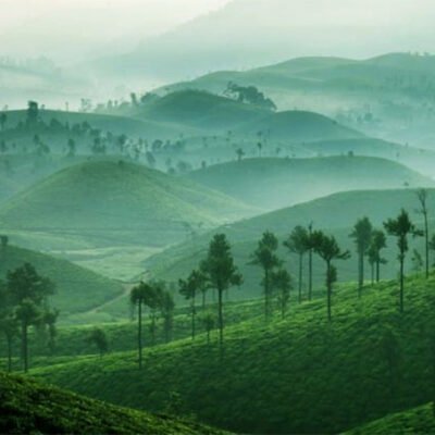 Valparai Weekend Tour 1 Night 2 Days