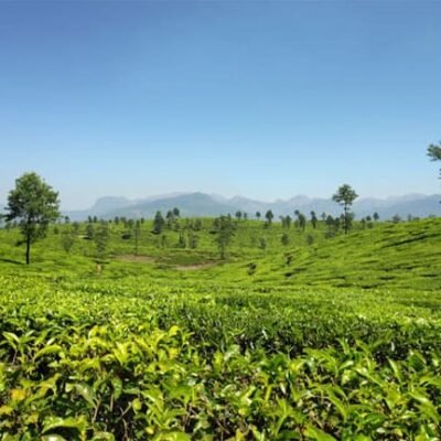 Valparai Offer Tours - 1 Night 2 Days